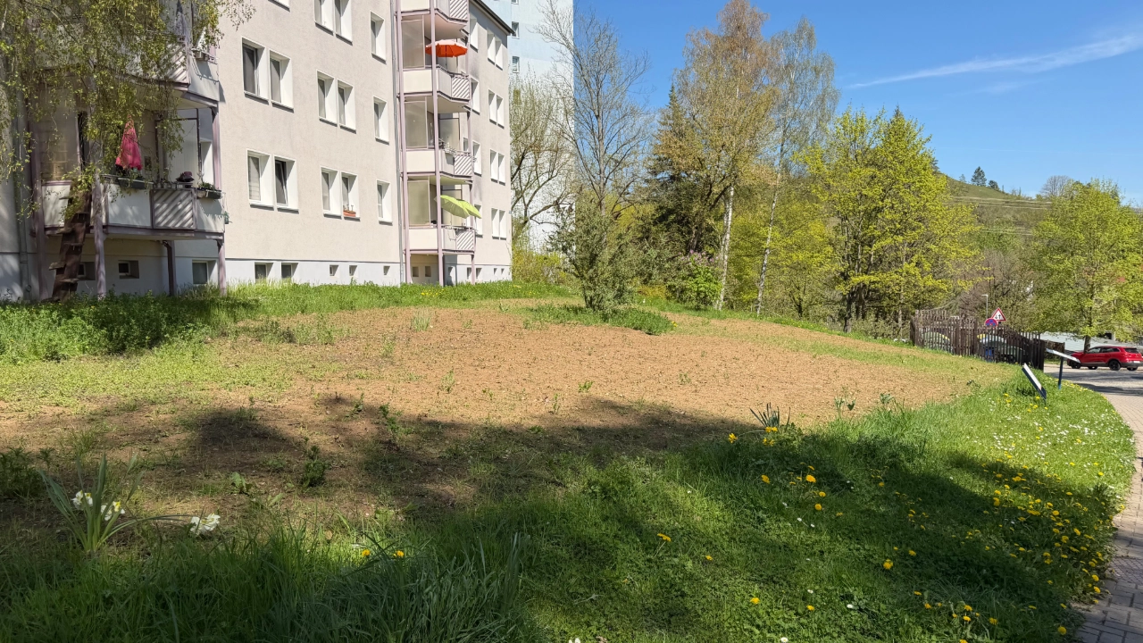 Insektenwiese in der Ottogerd-Mühlmann-Straße in Jena Nord (März 2026)
