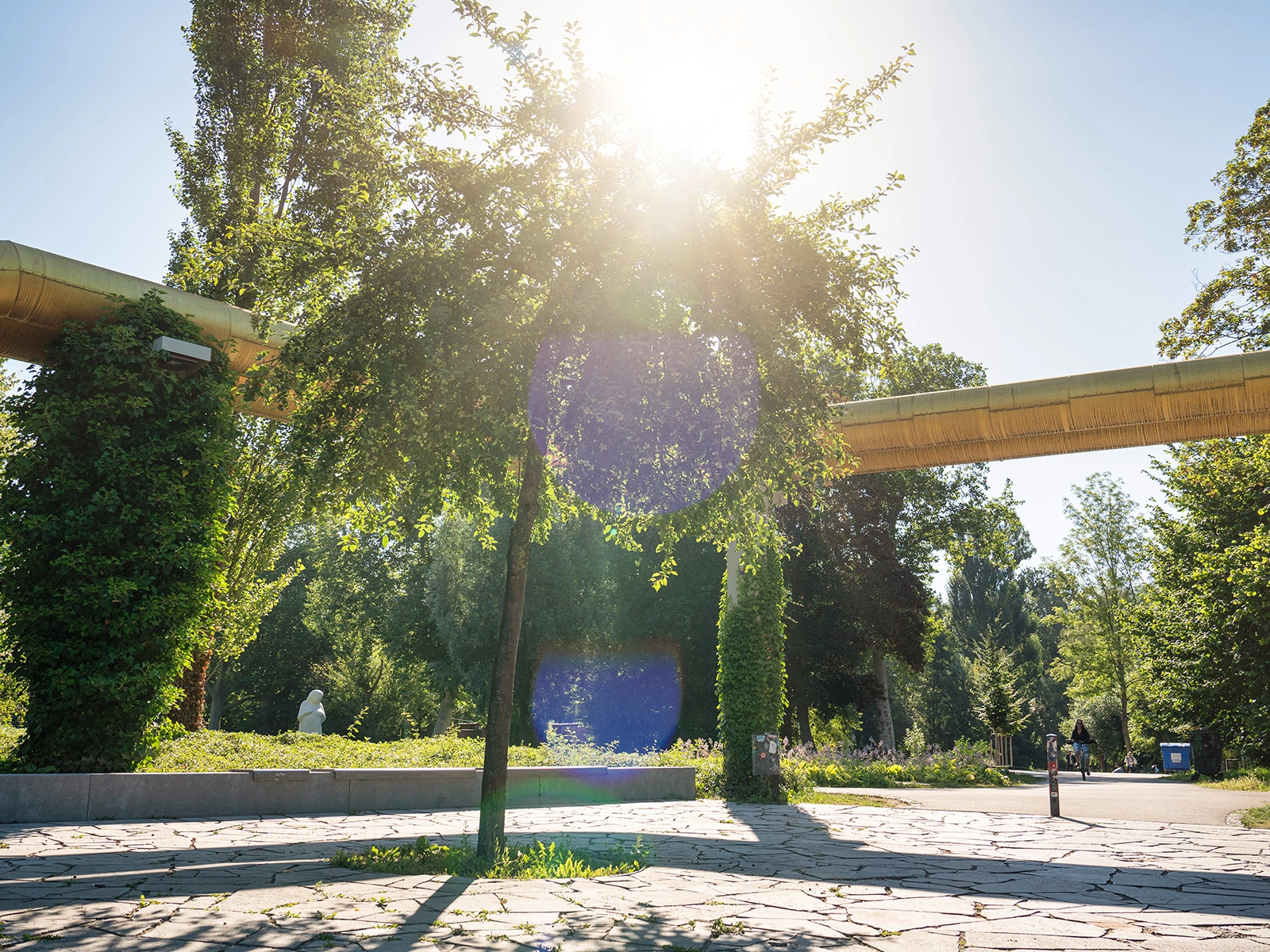 Ein goldenes Fernwärmerohr, im Hintergrund Sonne, im Vordergrund ein Baum. 