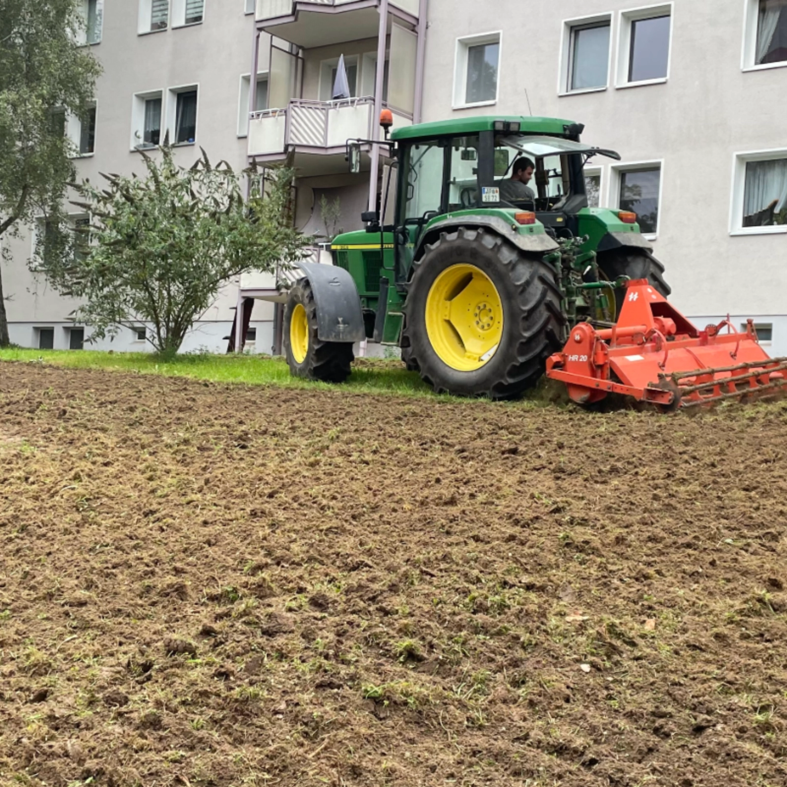 Anlegen einer neuen Insektenwiese in der Ottogerd-Mühlmann-Straße in Jena Nord