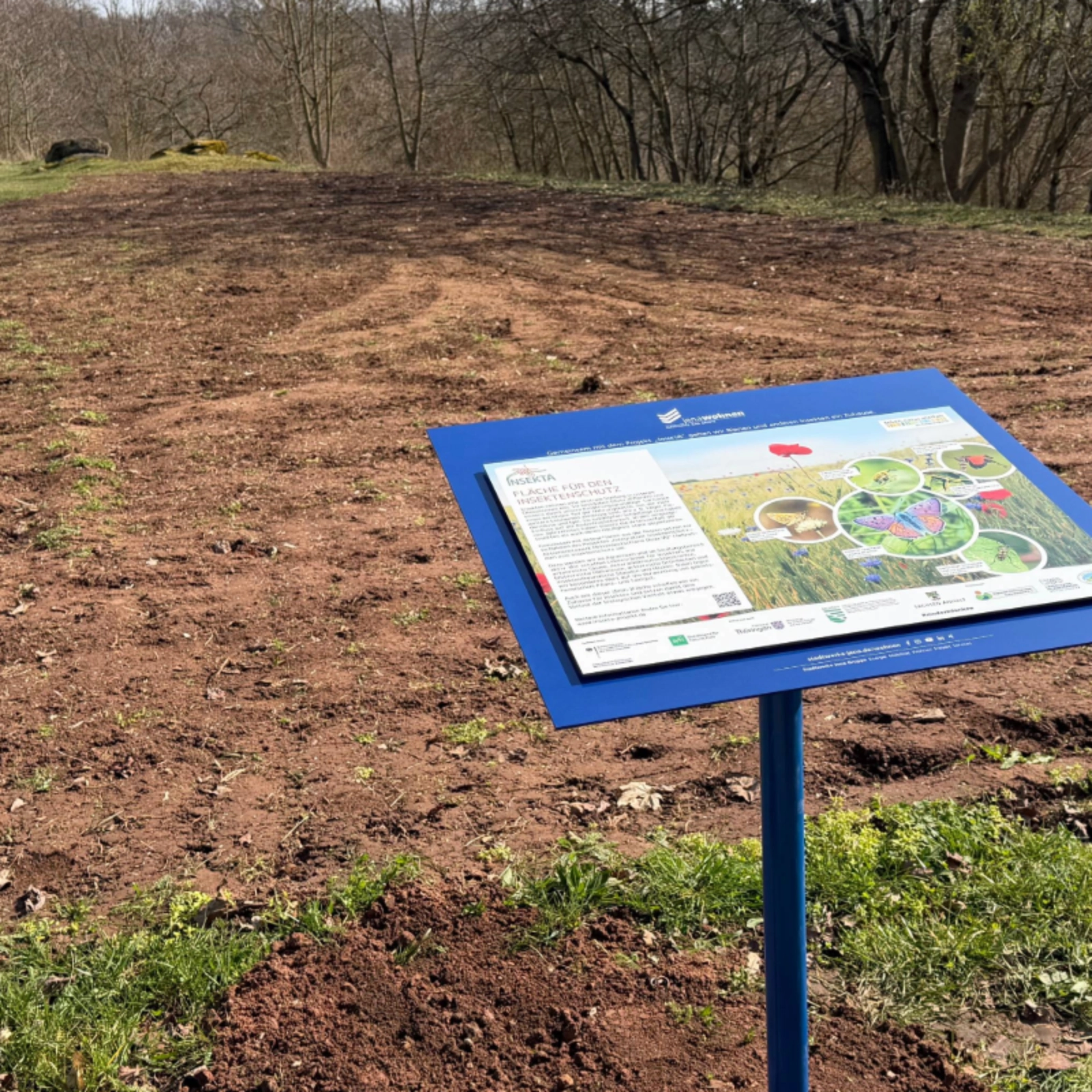 Jede Insektenwiese ist mit einem Informationsschild ausgestattet.