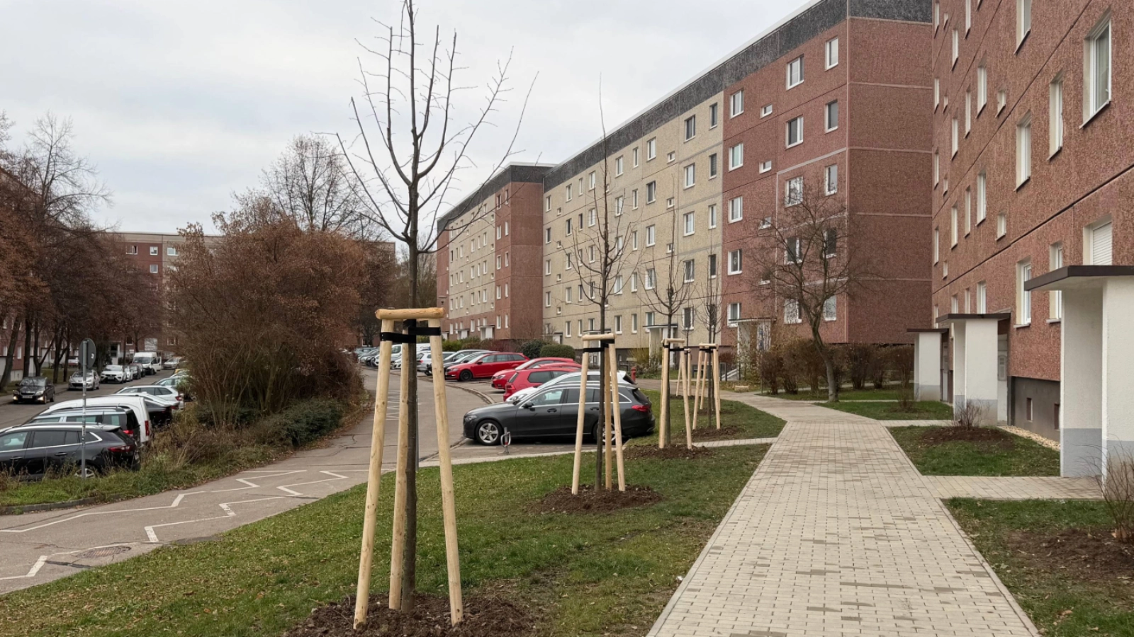 Baumbepflanzung in den Quartieren: Winzerla