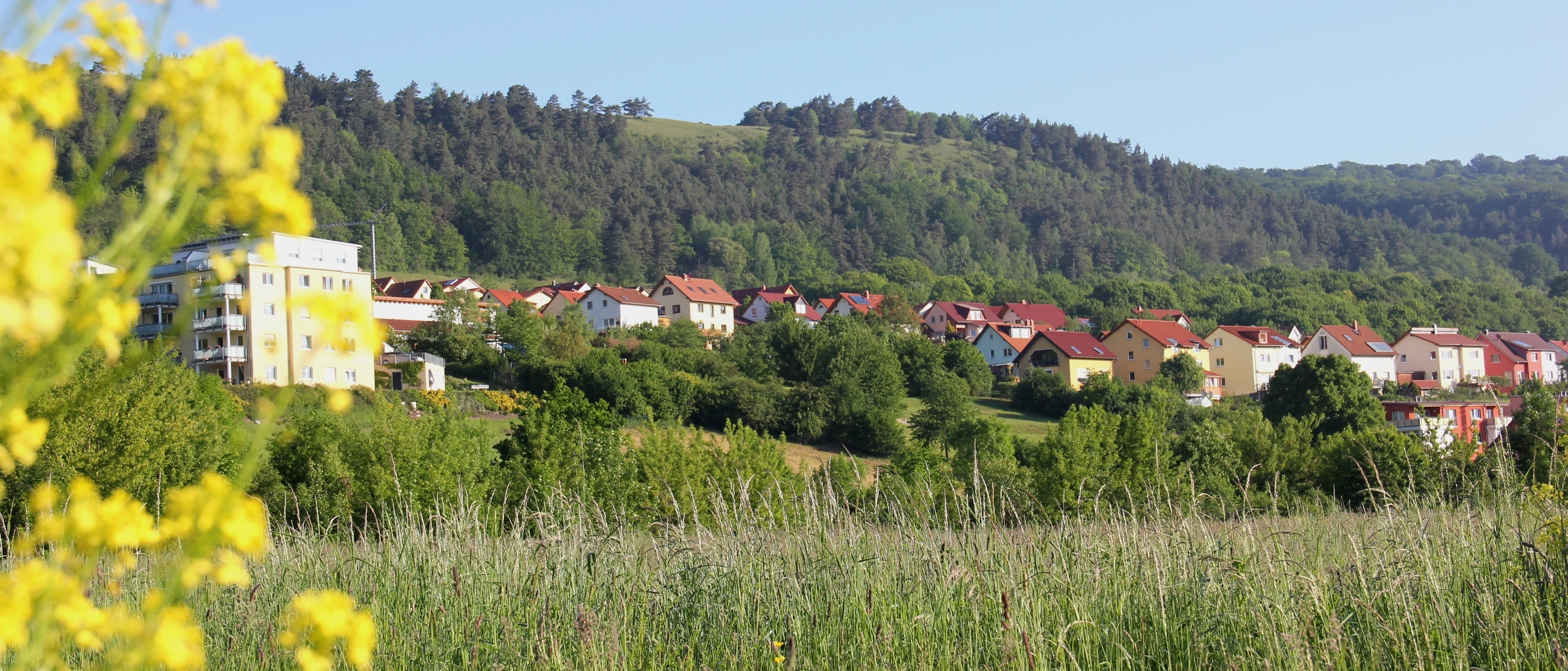 Das Himmelreich in Jena aus der Ferne