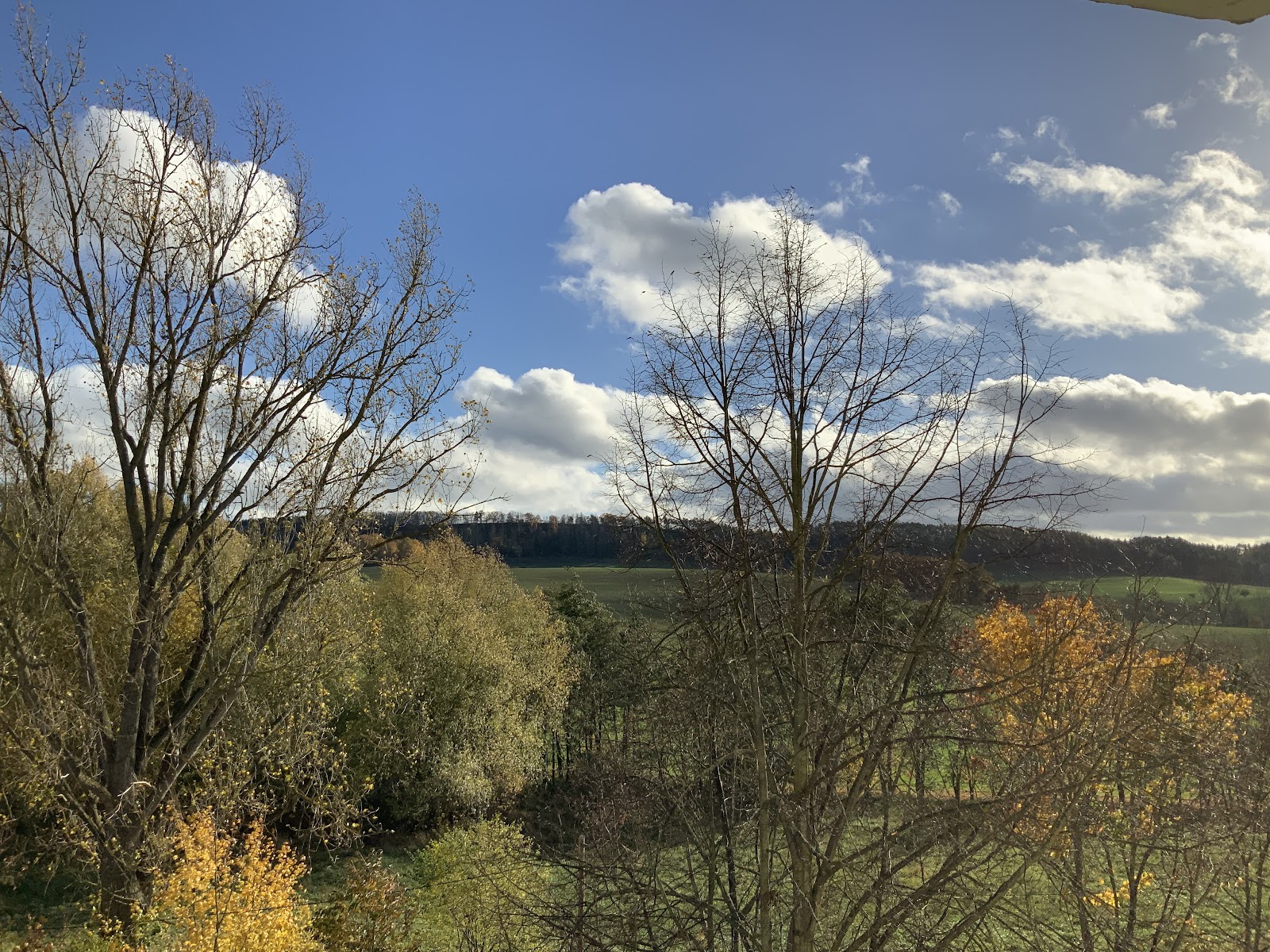 jenawohnen_499f8262-4cf6-4ada-8b8f-c60a9cbe0c52